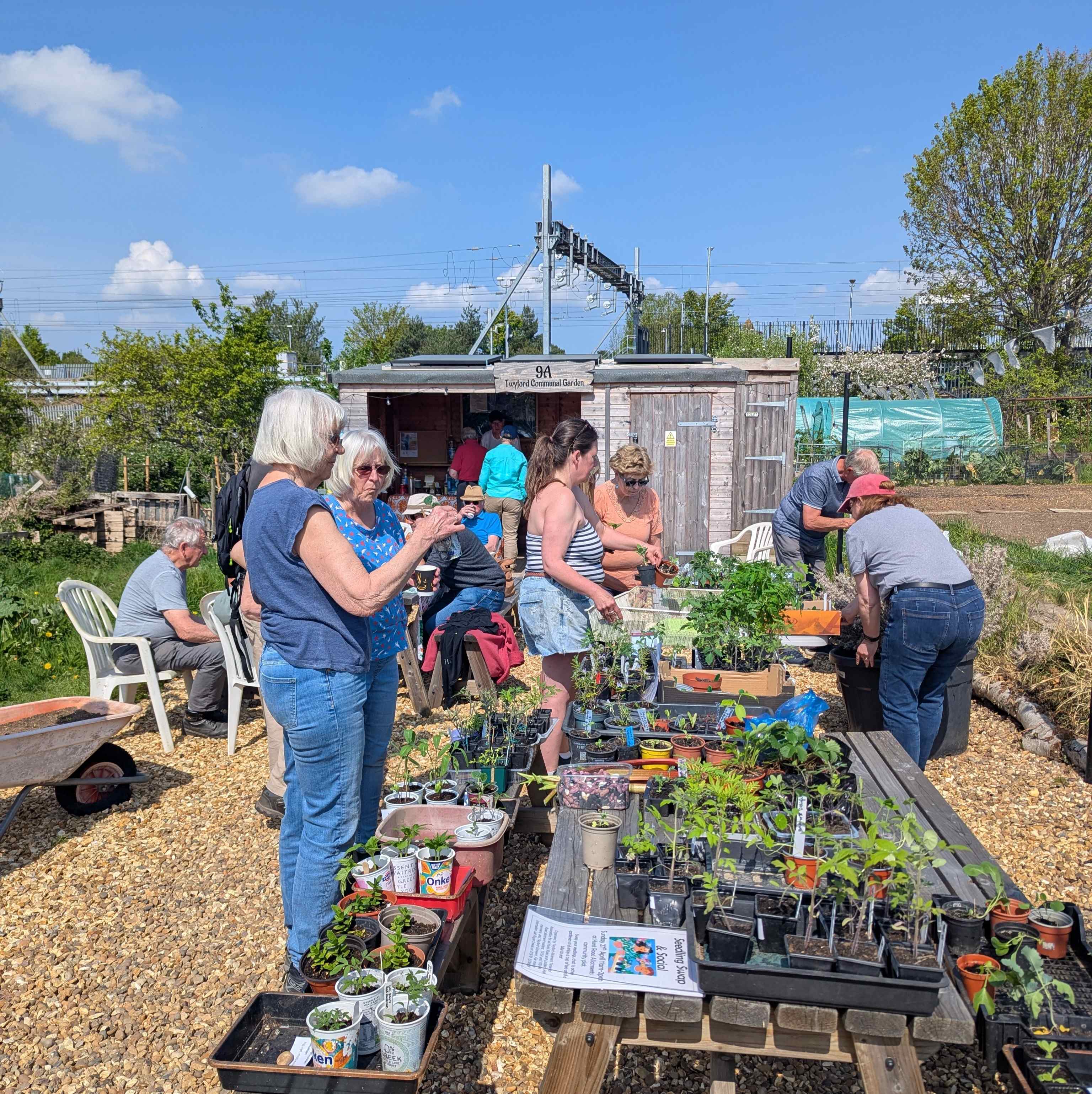 2025 Plant Sale 3