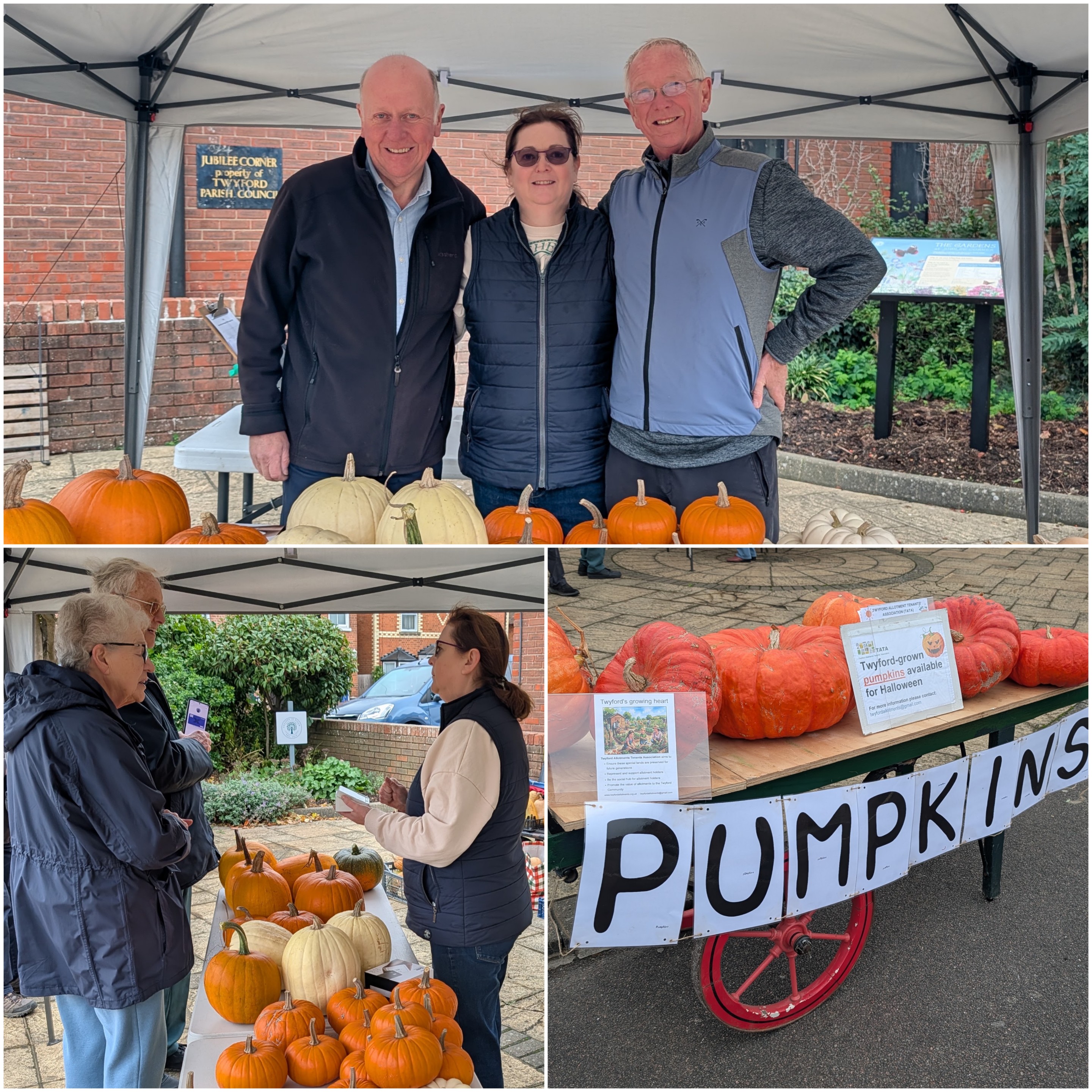 Pumpkin Sale 2026