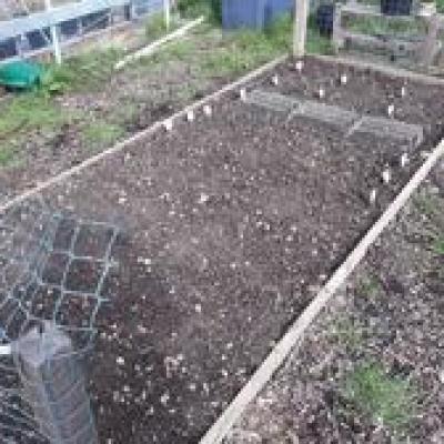 Image3